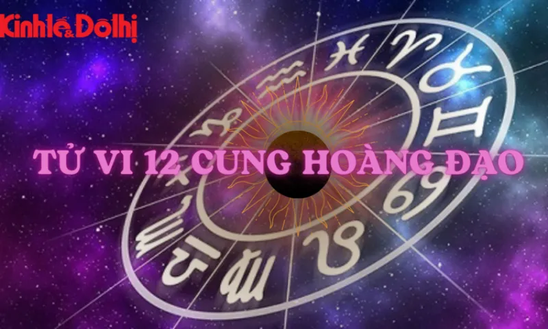 Hoa Cúc Đồng Tiền rực rỡ thể hiện năng lượng tích cực của người sinh ngày 16/4 cung Bạch Dương